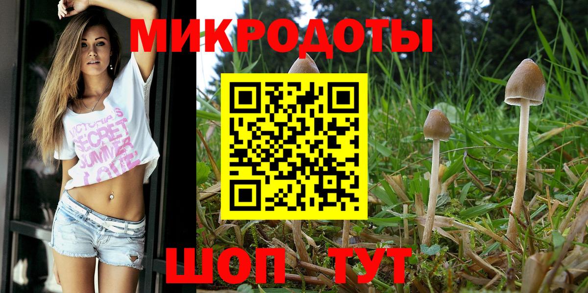 Псилоцибиновые грибы Cubensis  цены   Вход с VPN  Ирбит  Галлюциногенные грибы ЛСД 